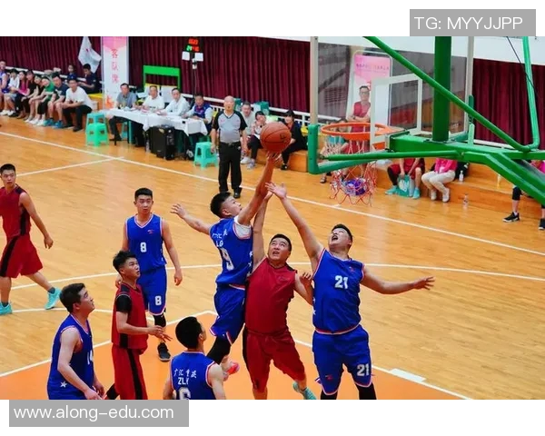 重庆网球队灵活性分析与战术调整的深度研究与探讨